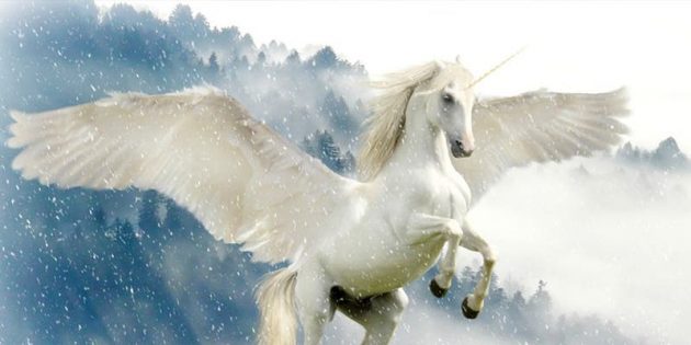 soñar con unicornio con alas