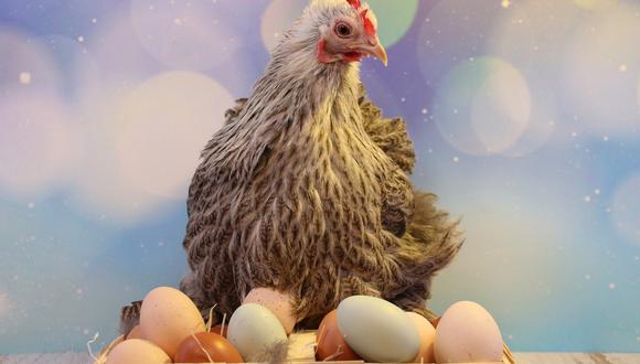 soñar con huevos de gallina